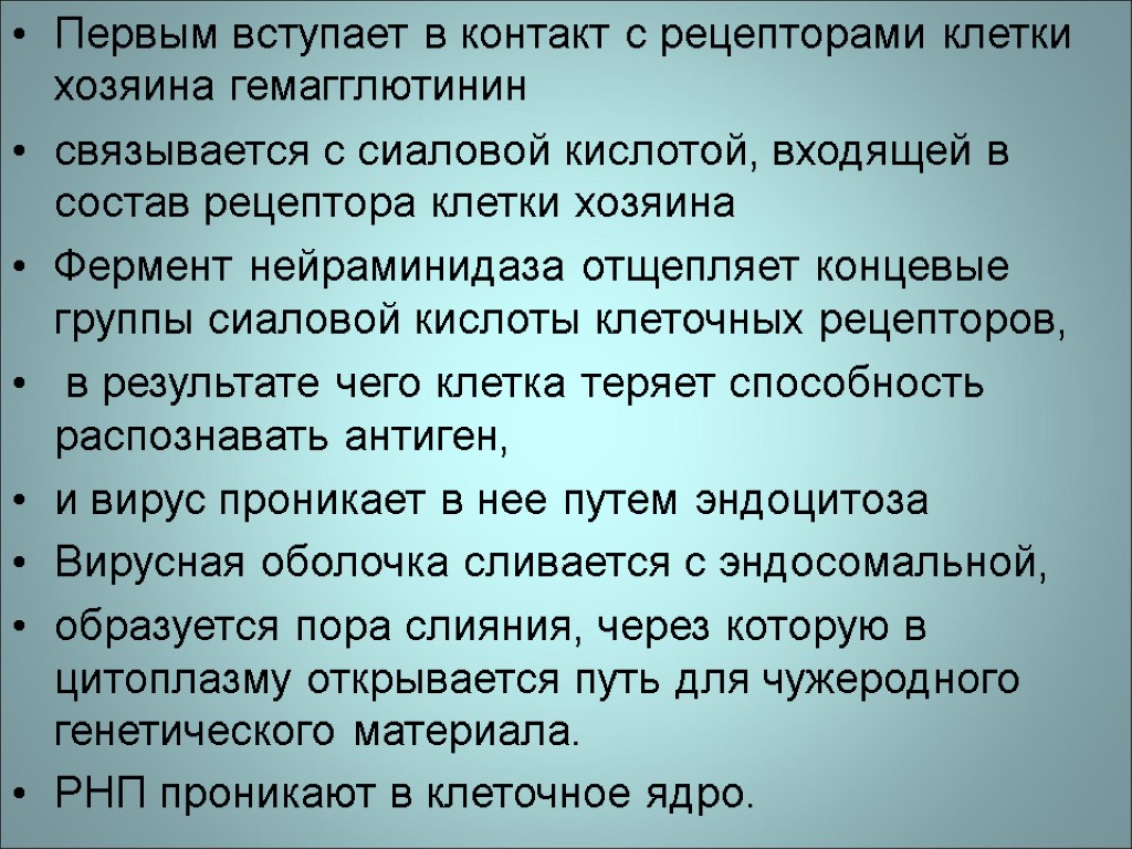 Первым вступает в контакт с рецепторами клетки хозяина гемагглютинин связывается с сиаловой кислотой, входящей